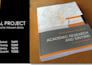 professional powerpoint presentation and pitch deck PPT